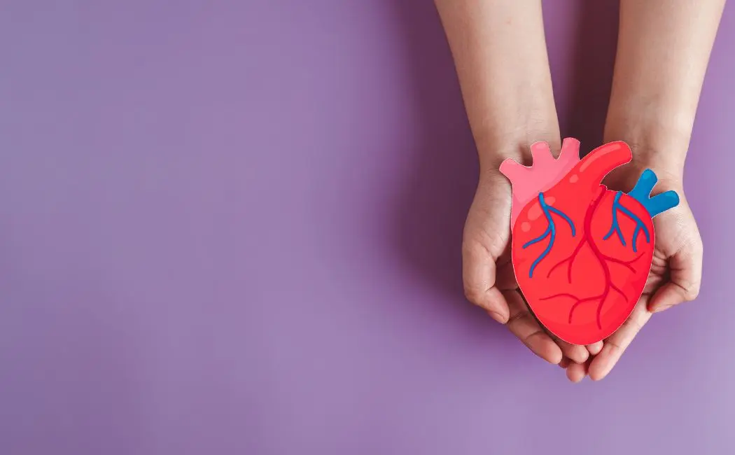Niewydolność serca – jak odpowiednio się badać i dbać o zdrowie przez dietę?