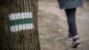 Jesienne spacery po Głogowie. Osobne terminy dla dzieci i dorosłych