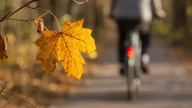 Na Górkowie powstanie tor MTB. Trasa będzie miała 2,6 km