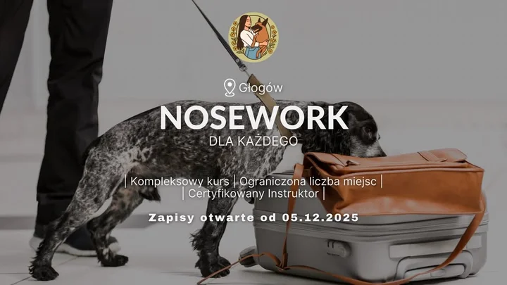 Grafika promocyjna wydarzenia Kurs Nosework Głogów — praktyczny kurs węchowy dla psów