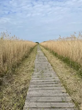 Grafika promocyjna wydarzenia Warsztat Ustawień Rodzin wg Berta Hellingera w Głogowie