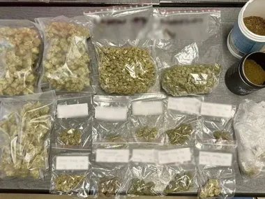 720 gramów marihuany w mieszkaniu 41-latka. Sąd zareagował od razu